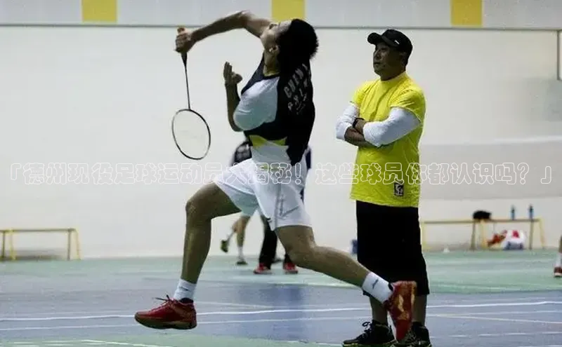 6688体育手机版登录百度教育「德州现役足球运动员大揭秘！这些球员你都认识吗？」