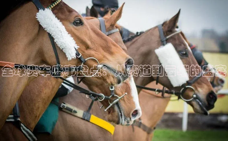 6688体育app的发展历程百度数据开放平台全球赛车盛事盘点：从赛道到云端的盛宴
