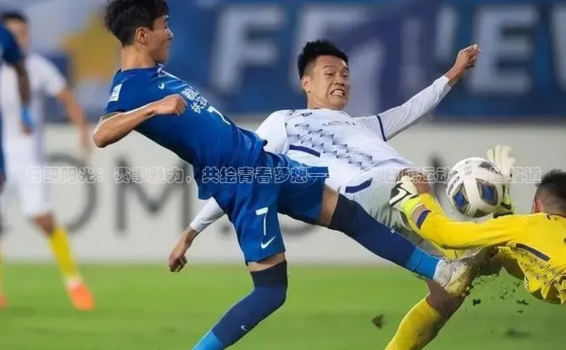 日照阳光：赛事魅力，共绘青春梦想——2023日照运动会专题报道