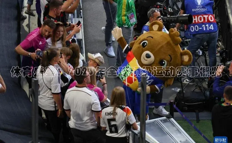体育盛宴：2023年全球顶级运动赛事概览