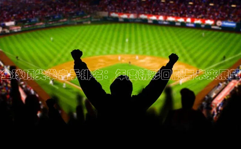 全球顶尖拳击手排名：年度精彩回顾与未来展望