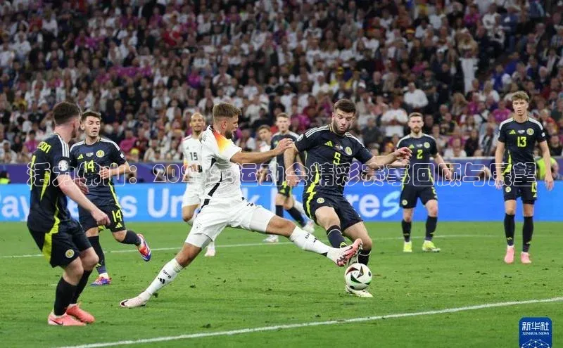 活力佛山：2023年运动会精彩赛事回顾与展望