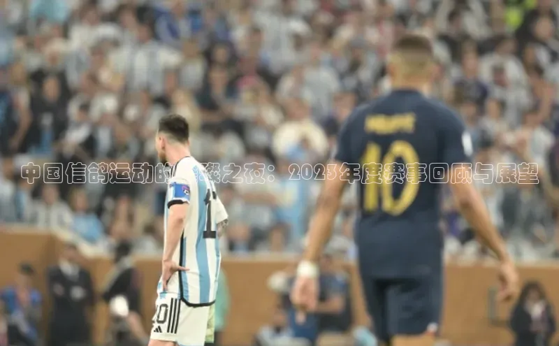 中国信鸽运动的璀璨之夜：2023年度赛事回顾与展望