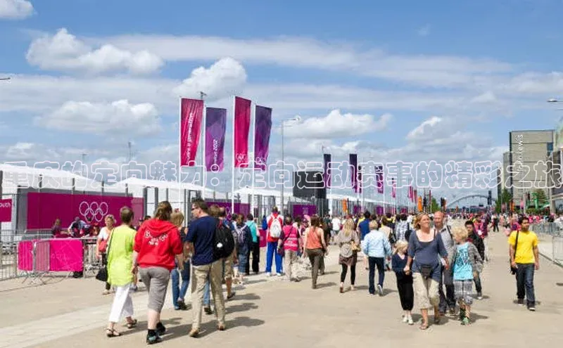 重庆的定向魅力：定向运动赛事的精彩之旅