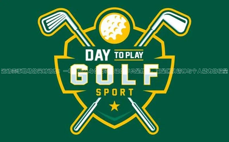 运动赛事现场的实时动态：一场激动人心的比赛见证的不只是胜利，更是团队精神与个人能力的较量