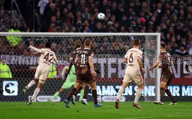 逐梦赛道：中国知名赛事中的跑步盛事与幕后故事