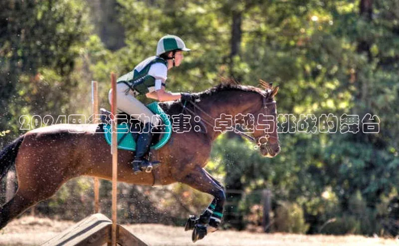 6688体育手机版登录