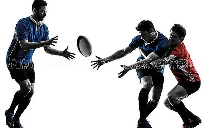 6688体育app的发展历程