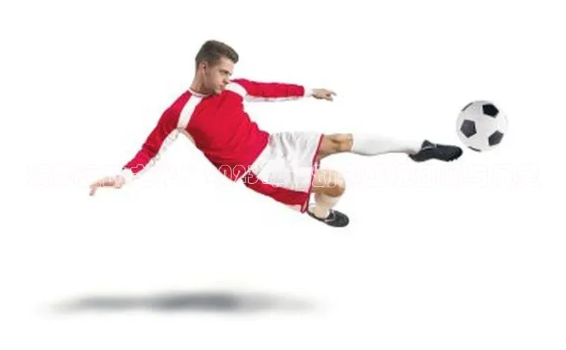 6688体育网络平台