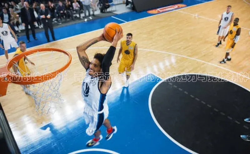 6688体育app最新版