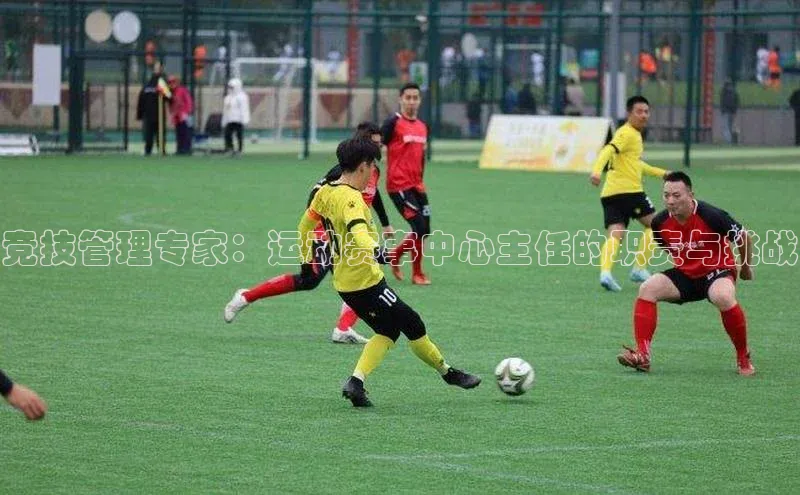 6688体育网络平台