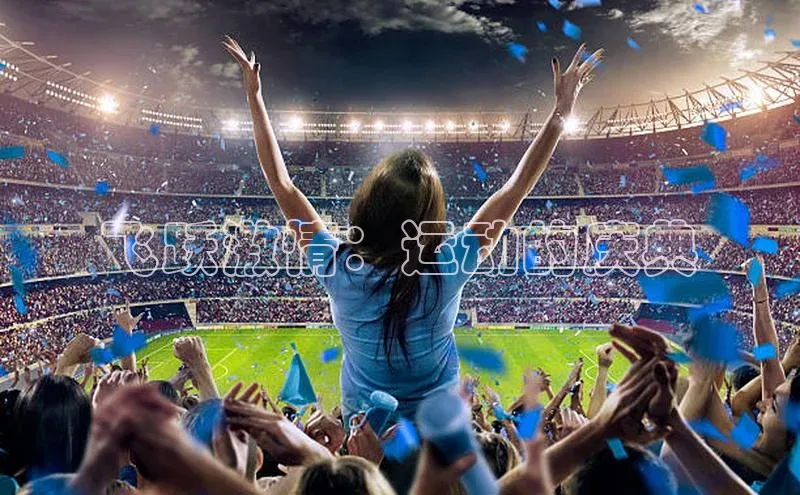 飞跃激情：运动的庆典